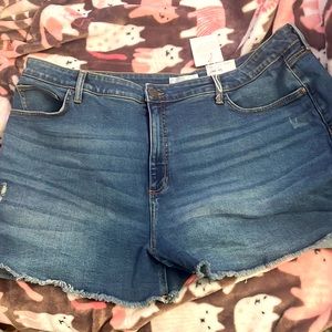 Lauren Conrad Jean shorts